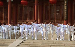 Xia Quan Kung Fu School Hong Kong